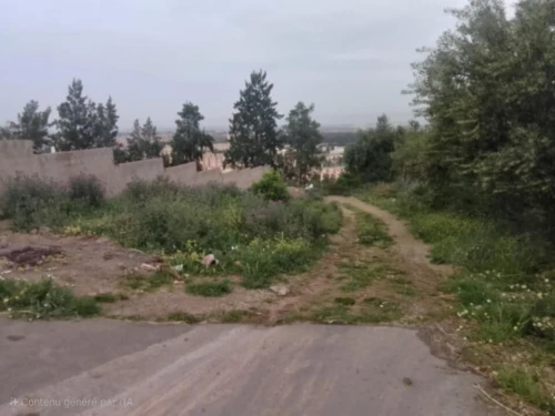 Vente Terrain Blida Ouled yaich