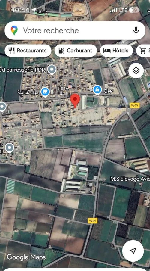 Vente Hangar - Usine Mostaganem Hassi maameche