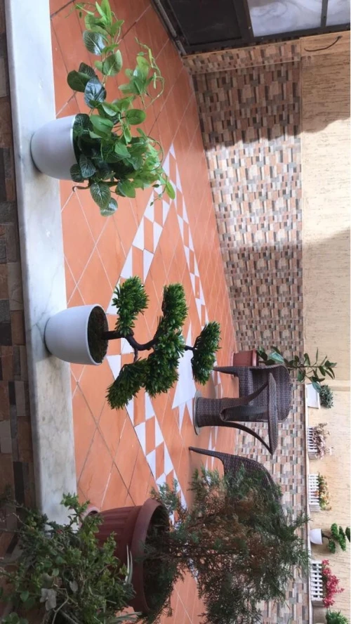 Vente Villa Alger El achour