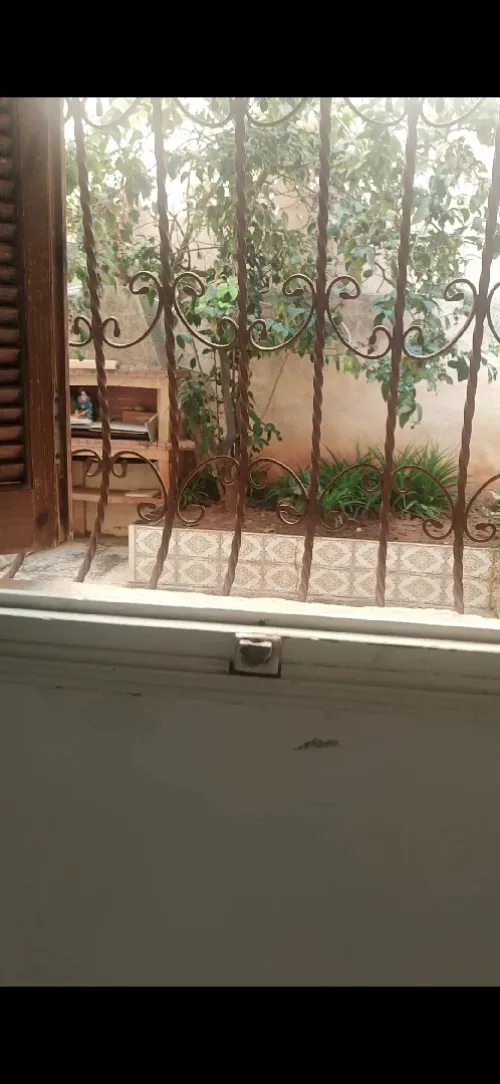 Location Local Alger Ain benian