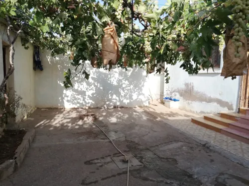 Vente Immeuble Aïn Témouchent Oued sabah
