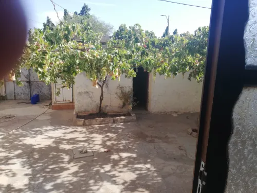 Vente Immeuble Aïn Témouchent Oued sabah