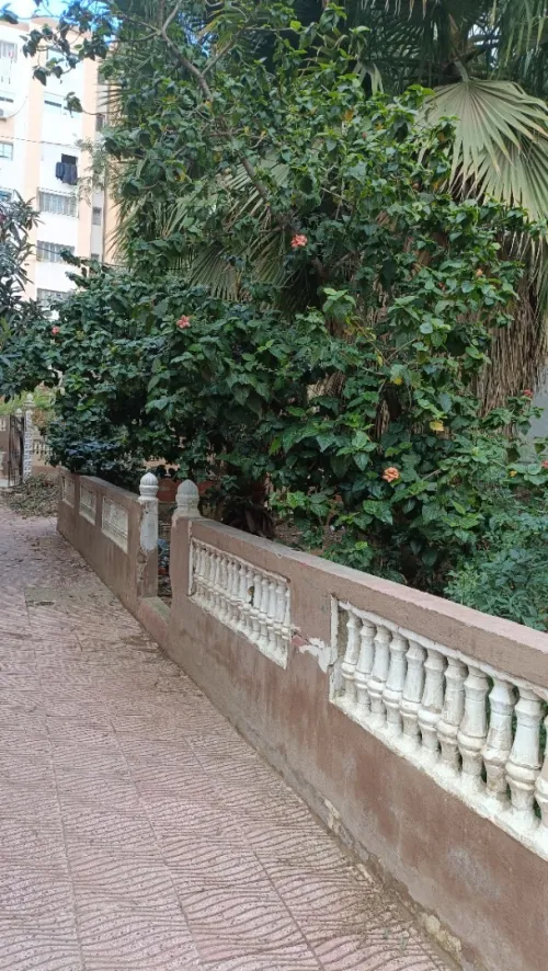Location Appartement F3 Alger Ain naadja