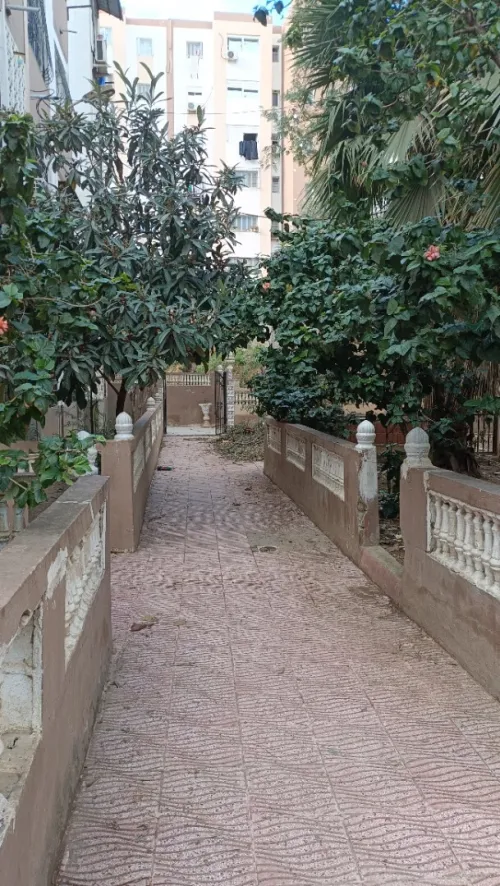 Location Appartement F3 Alger Ain naadja