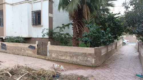 Location Appartement F3 Alger Ain naadja