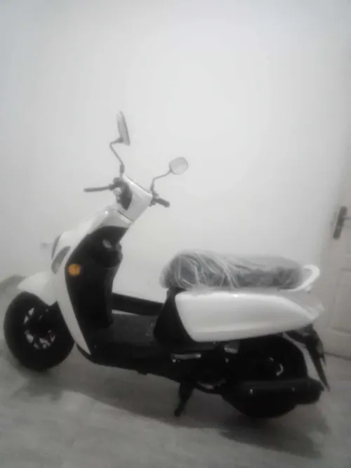 Vms Coxi2 2025