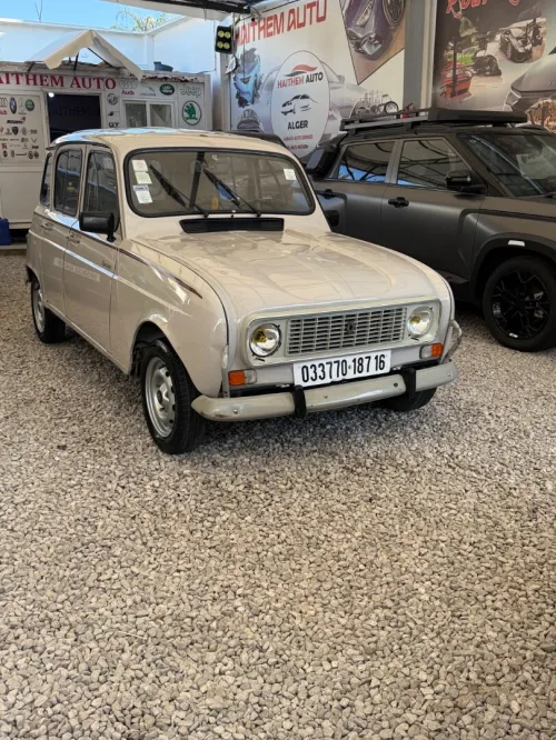 Renault 4 1987 Sabale