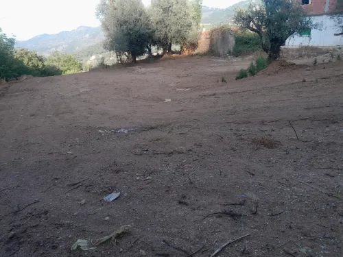 Cherche location Terrain Jijel Texenna