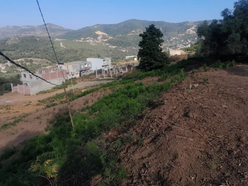 Cherche location Terrain Jijel Texenna