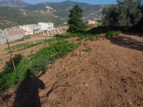 Cherche location Terrain Jijel Texenna