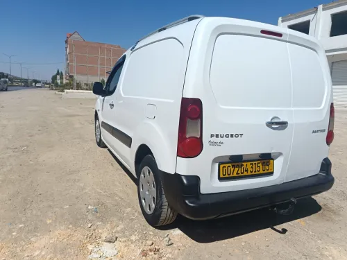 Peugot Partanr p9 2015 Peujet