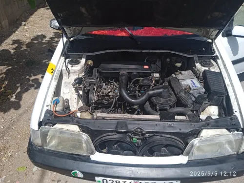 Citroen ZX 1993 ZX