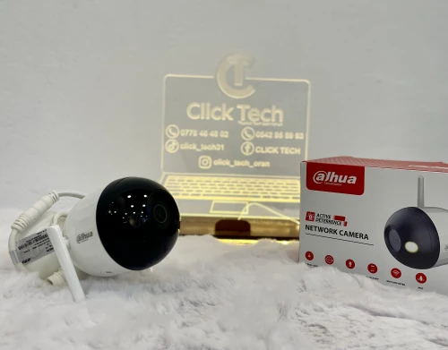 Dahua Network Camera