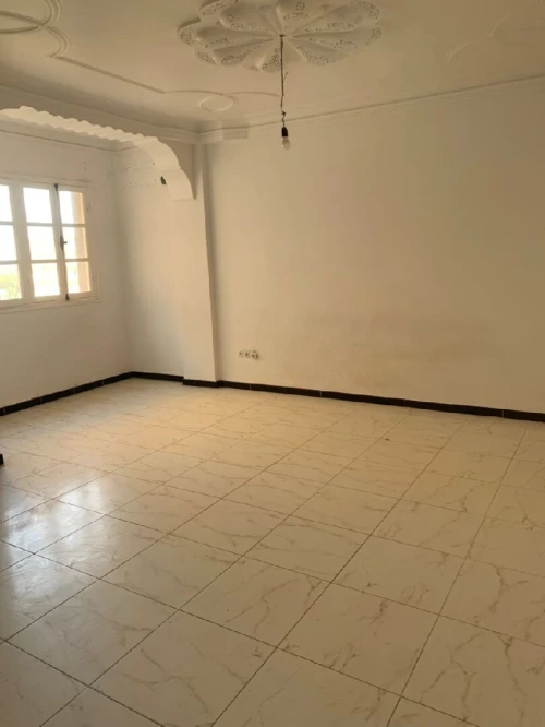 Location Appartement F4 Alger Staoueli