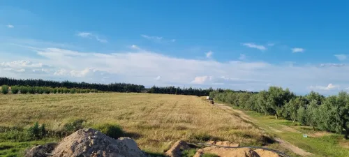 Vente Terrain Agricole Msila Maarif