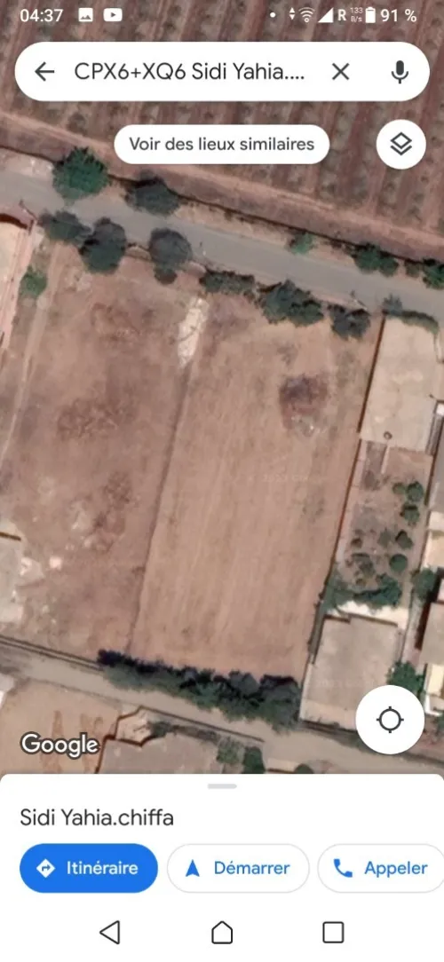 Location Terrain Blida Chiffa