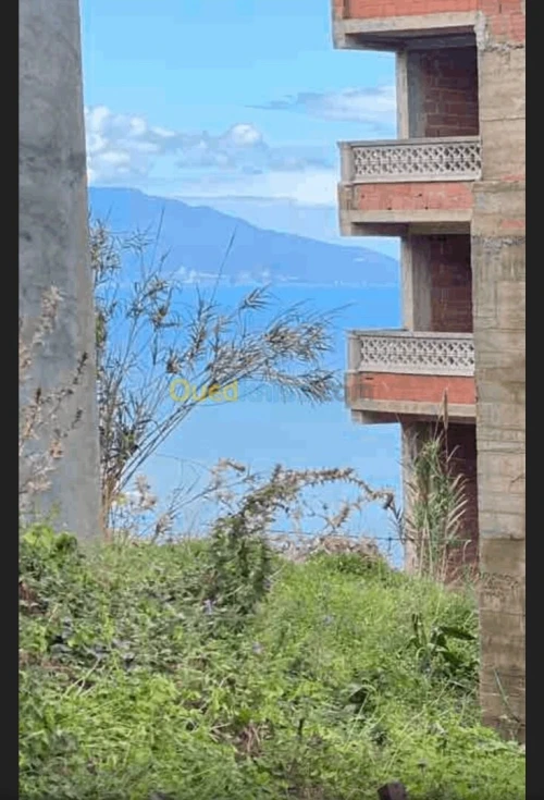 Vente Terrain Tipaza Ain tagourait