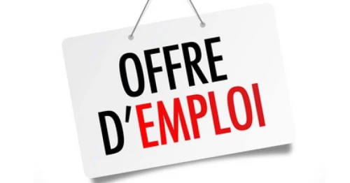 Offre d'emploi Commercial (F)