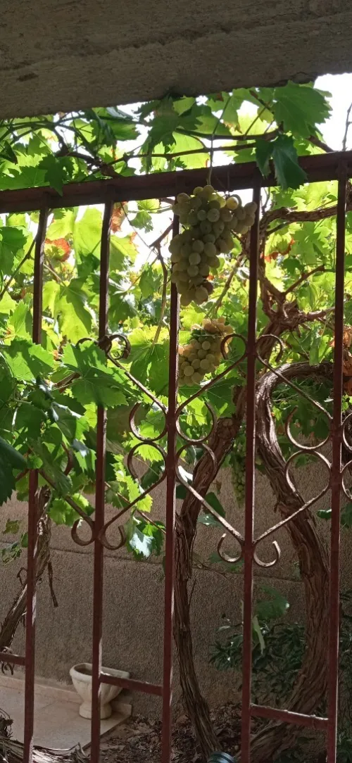 Vente Villa Bouira El adjiba