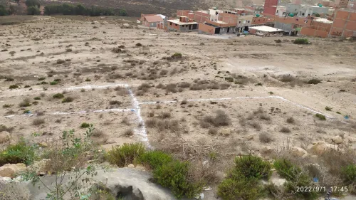 Vente Terrain Tlemcen Marsa ben mhidi