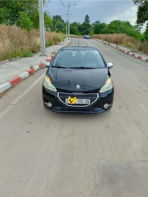 Peugeot 208 2013 Fennec