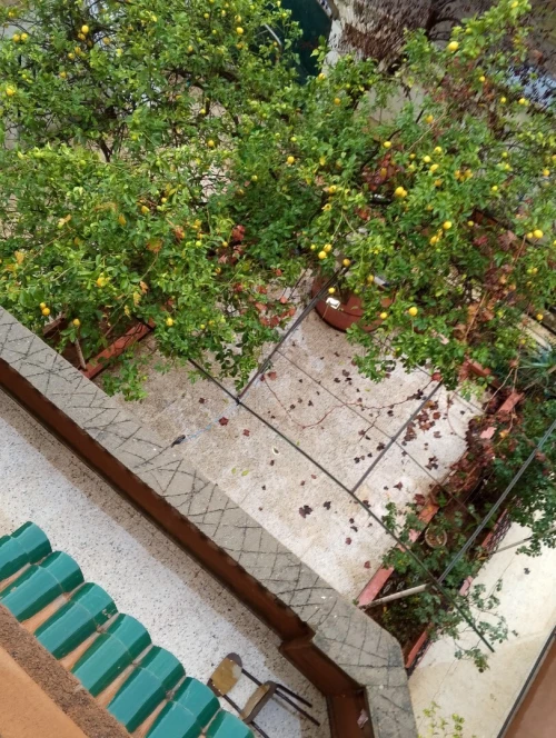 Vente Villa Alger Souidania