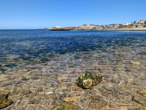 Location vacances Villa Alger Bordj el bahri