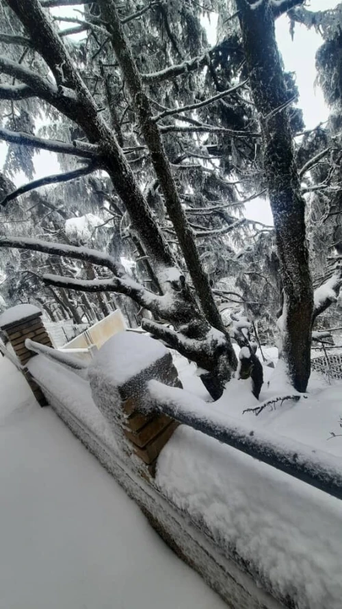 Location vacances Bungalow F1 Blida Chrea
