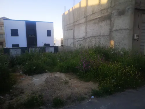 Vente Terrain Constantine Constantine