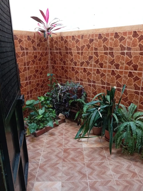 Vente Appartement Duplex F5 Mostaganem Mostaganem