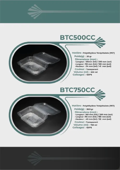 TRANSFORMATION ET RECEYCLAGE DES PLASTIQUE