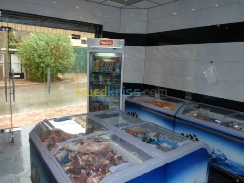 vente touts aliments surgelés 
