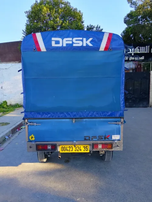 DFSK DFSK 2024 