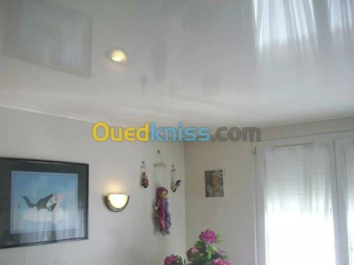 menuiserie aluminium , plafond en pvc 