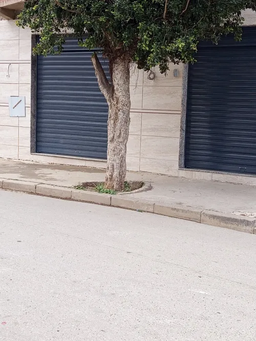 Location Local Oran Oran