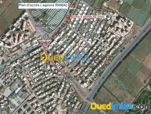 Location Local Alger Zeralda