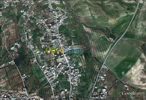 Vente Terrain Tlemcen Chetouane
