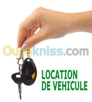 location de voitures