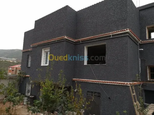 Ravalement de façades,peinture,placo