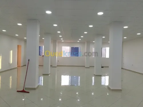 Ravalement de façades,peinture,placo