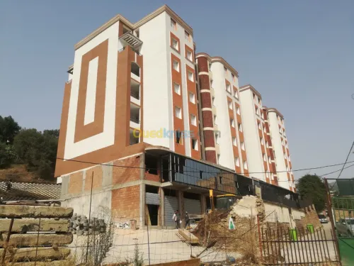 Ravalement de façades,peinture,placo