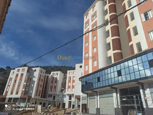 Ravalement de façades,peinture,placo