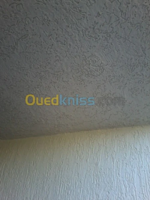 Ravalement de façades,peinture,placo