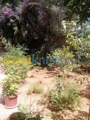 Location Villa Alger El biar