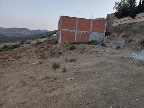 Vente Terrain Tlemcen Ain kebira