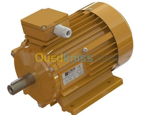 Moteur électrique et Réducteurs 