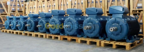 Moteur électrique et Réducteurs 