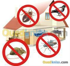 Nettoyage Entretien Jardinage Désinfec