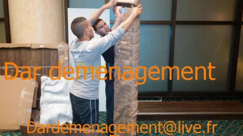 DEMENAGEMENT PARTICULIER  ENTREPRISES