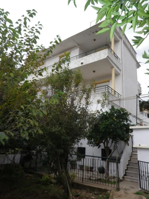 Vente Terrain Alger Bouzareah